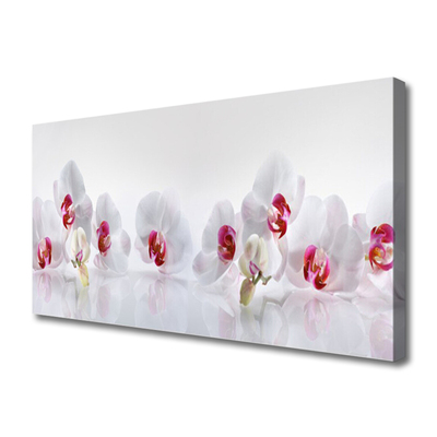 Quadro canvas Flores Planta Natureza