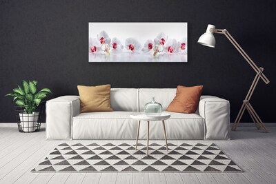 Quadro canvas Flores Planta Natureza