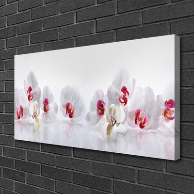 Quadro canvas Flores Planta Natureza