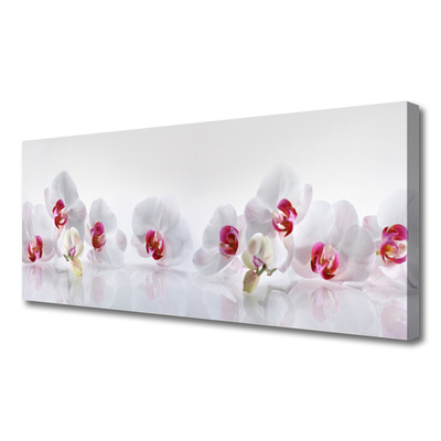 Quadro canvas Flores Planta Natureza