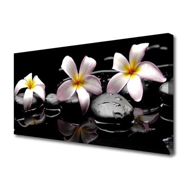 Quadro canvas Planta de pedras de flores