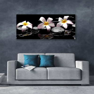 Quadro canvas Planta de pedras de flores