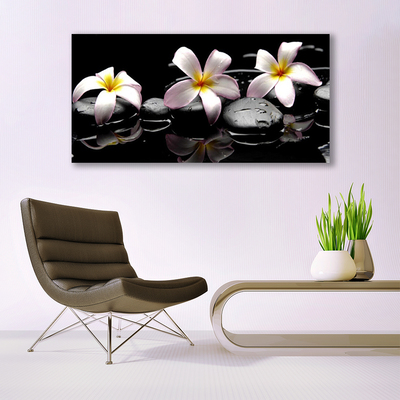 Quadro canvas Planta de pedras de flores