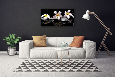 Quadro canvas Planta de pedras de flores