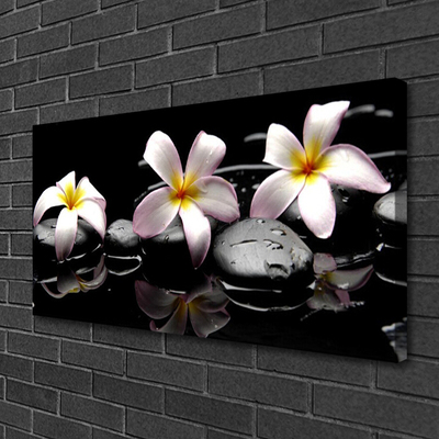 Quadro canvas Planta de pedras de flores