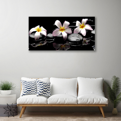 Quadro canvas Planta de pedras de flores