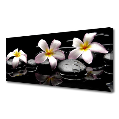 Quadro canvas Planta de pedras de flores