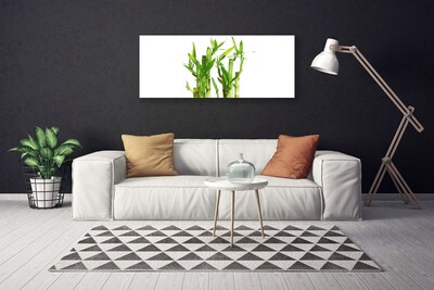 Quadro canvas Planta de flor de caule de bambu