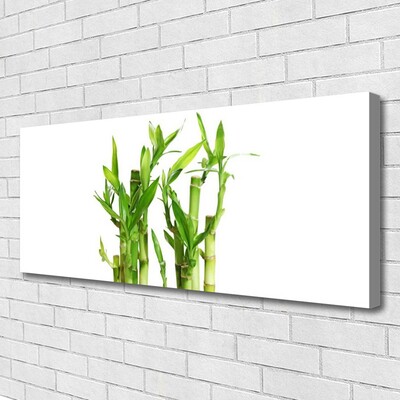 Quadro canvas Planta de flor de caule de bambu