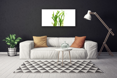 Quadro canvas Planta de flor de caule de bambu