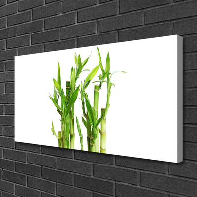 Quadro canvas Planta de flor de caule de bambu