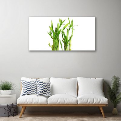 Quadro canvas Planta de flor de caule de bambu