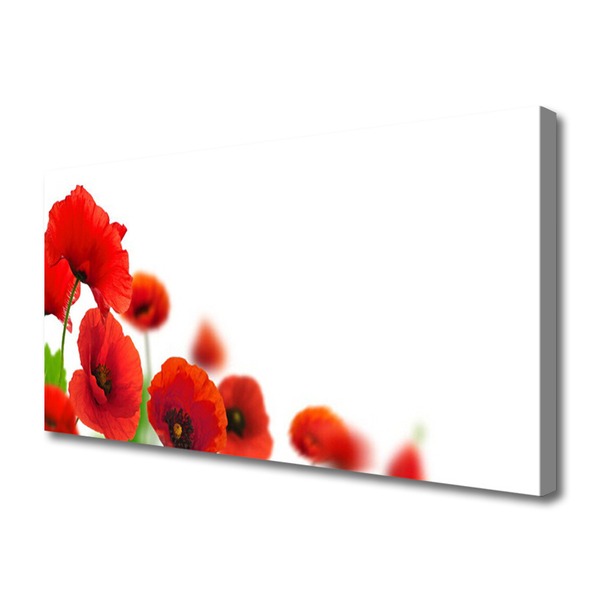 Quadro em tela Papoulas Vermelhas Natureza