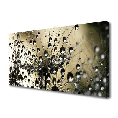 Quadro em tela Planta dente-de-leão