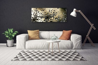 Quadro em tela Planta dente-de-leão