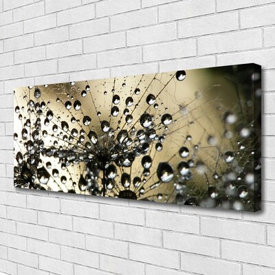 Quadro em tela Planta dente-de-leão