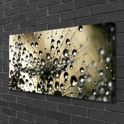 Quadro em tela Planta dente-de-leão