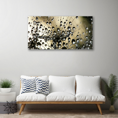 Quadro em tela Planta dente-de-leão