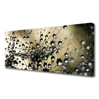 Quadro em tela Planta dente-de-leão