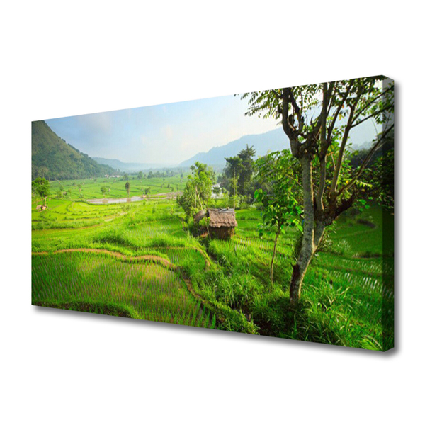Quadro canvas Prado da Natureza