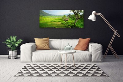 Quadro canvas Prado da Natureza