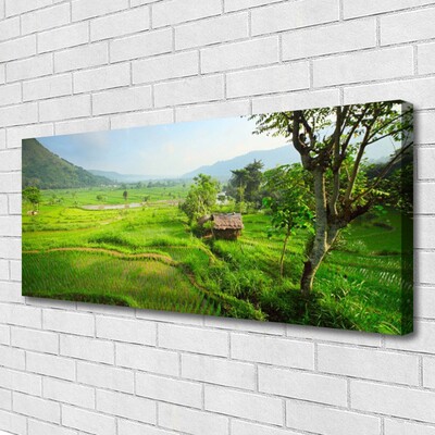 Quadro canvas Prado da Natureza