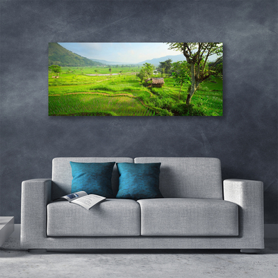 Quadro canvas Prado da Natureza