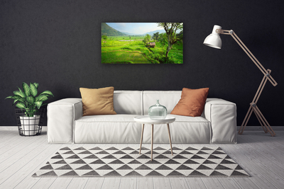 Quadro canvas Prado da Natureza