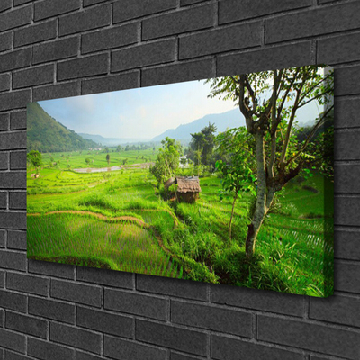 Quadro canvas Prado da Natureza