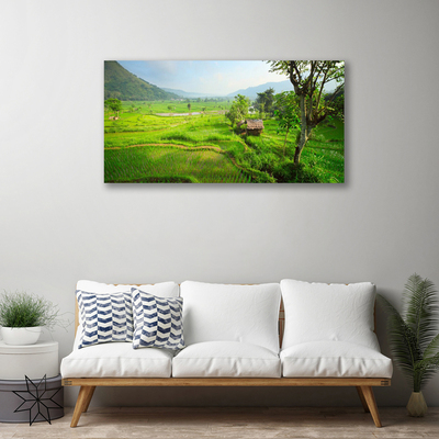 Quadro canvas Prado da Natureza
