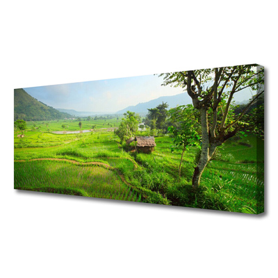 Quadro canvas Prado da Natureza