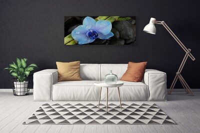 Quadro em tela Planta de pedras de flores
