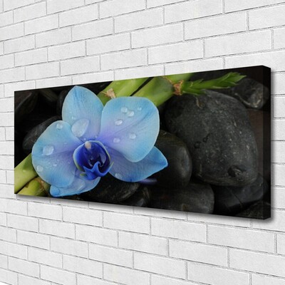 Quadro em tela Planta de pedras de flores
