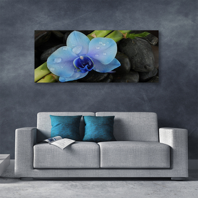 Quadro em tela Planta de pedras de flores