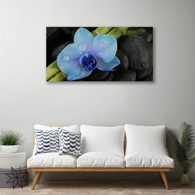 Quadro em tela Planta de pedras de flores