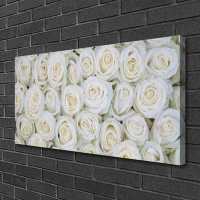 Quadro em tela Planta de flores rosas