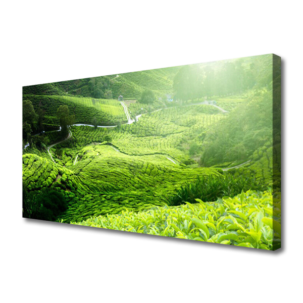 Quadro canvas Prado da Natureza