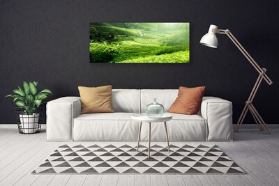 Quadro canvas Prado da Natureza