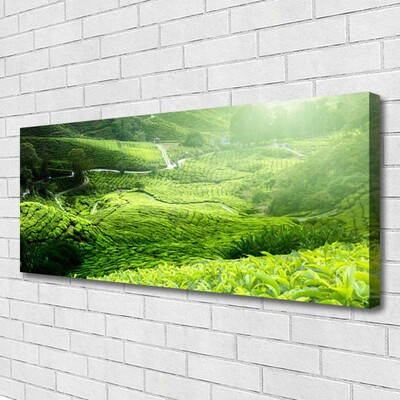 Quadro canvas Prado da Natureza