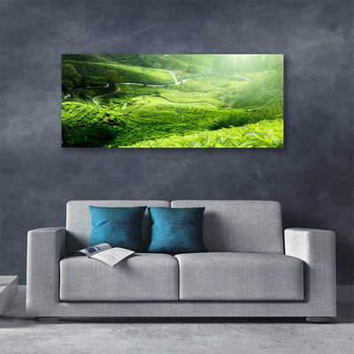 Quadro canvas Prado da Natureza
