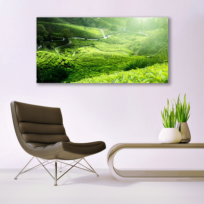 Quadro canvas Prado da Natureza