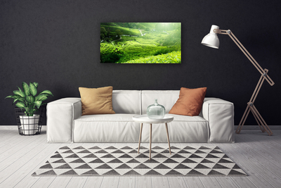 Quadro canvas Prado da Natureza