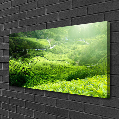 Quadro canvas Prado da Natureza
