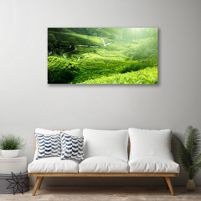 Quadro canvas Prado da Natureza