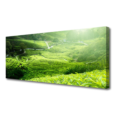 Quadro canvas Prado da Natureza