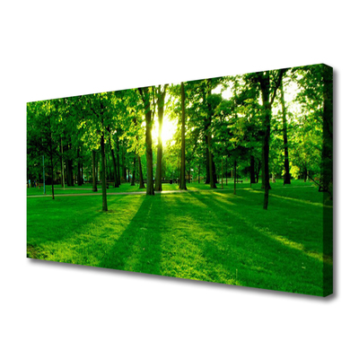 Quadro em tela Parque Florestal Natureza