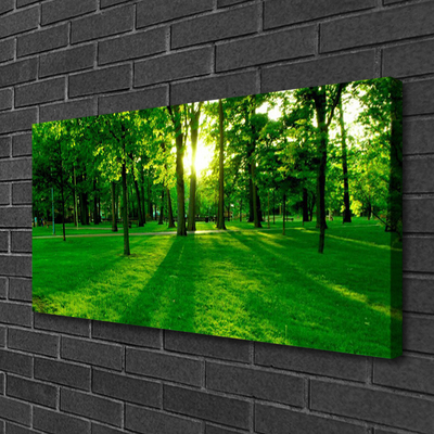 Quadro em tela Parque Florestal Natureza