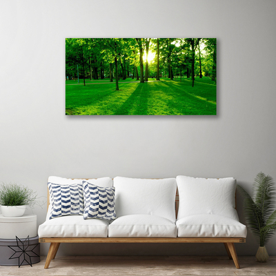 Quadro em tela Parque Florestal Natureza