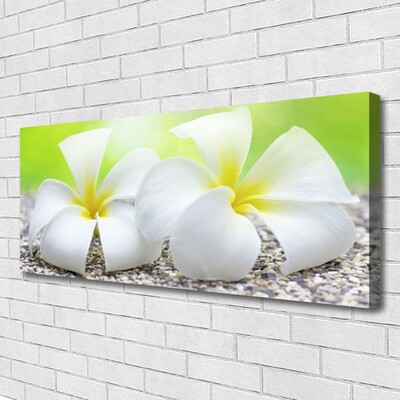 Quadro canvas Flores Planta Natureza