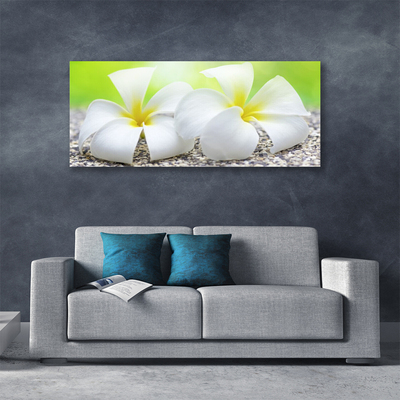 Quadro canvas Flores Planta Natureza